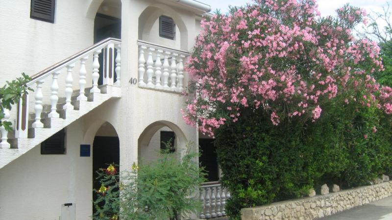 Apartments Mint Povljana - 50M From Sandy Beach Extérieur photo